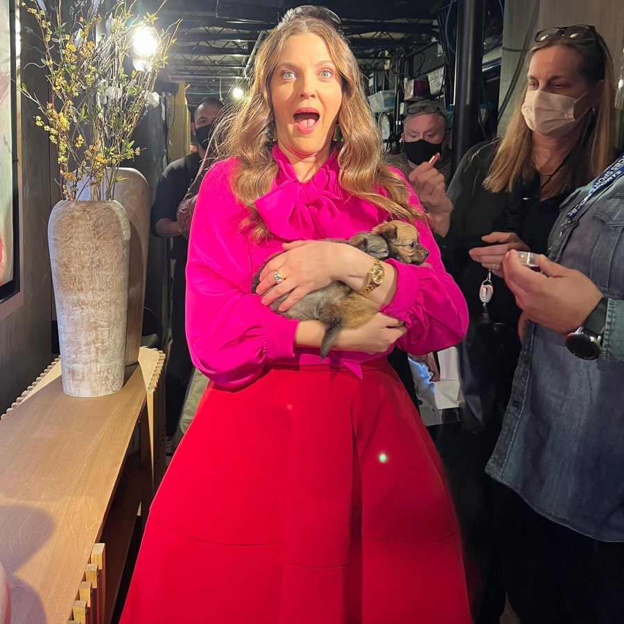 So Sweet! Drew Barrymore Finds ‘Happiness’ Cuddling 2 Puppies