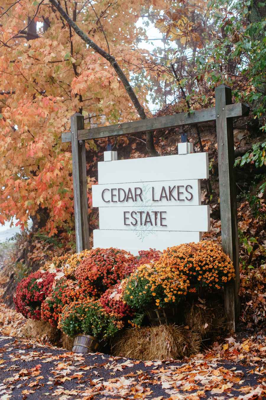Embrace the Cozy Cabin Vibes at Cedar Lakes Estate