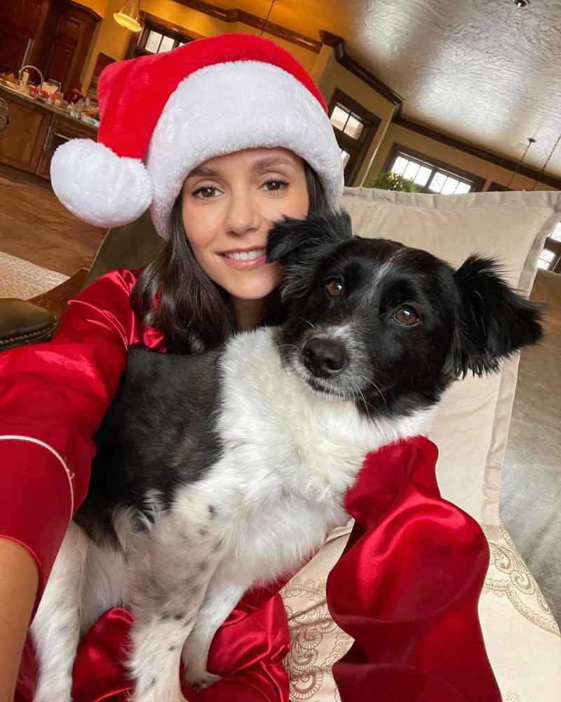 Nina Dobrev Celeb Pets With Social Media Accounts