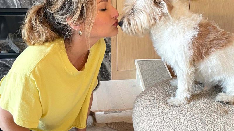 Paws Up! A Complete Guide to Food Network Stars’ Pets