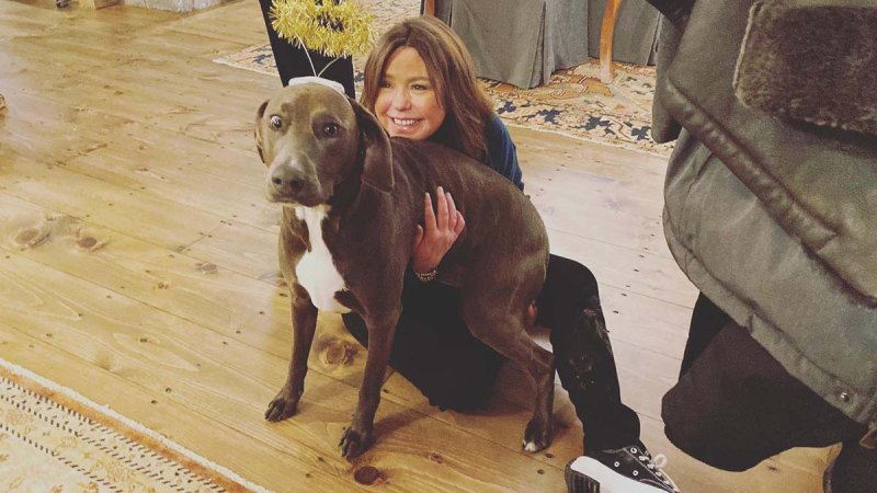 Paws Up! A Complete Guide to Food Network Stars’ Pets