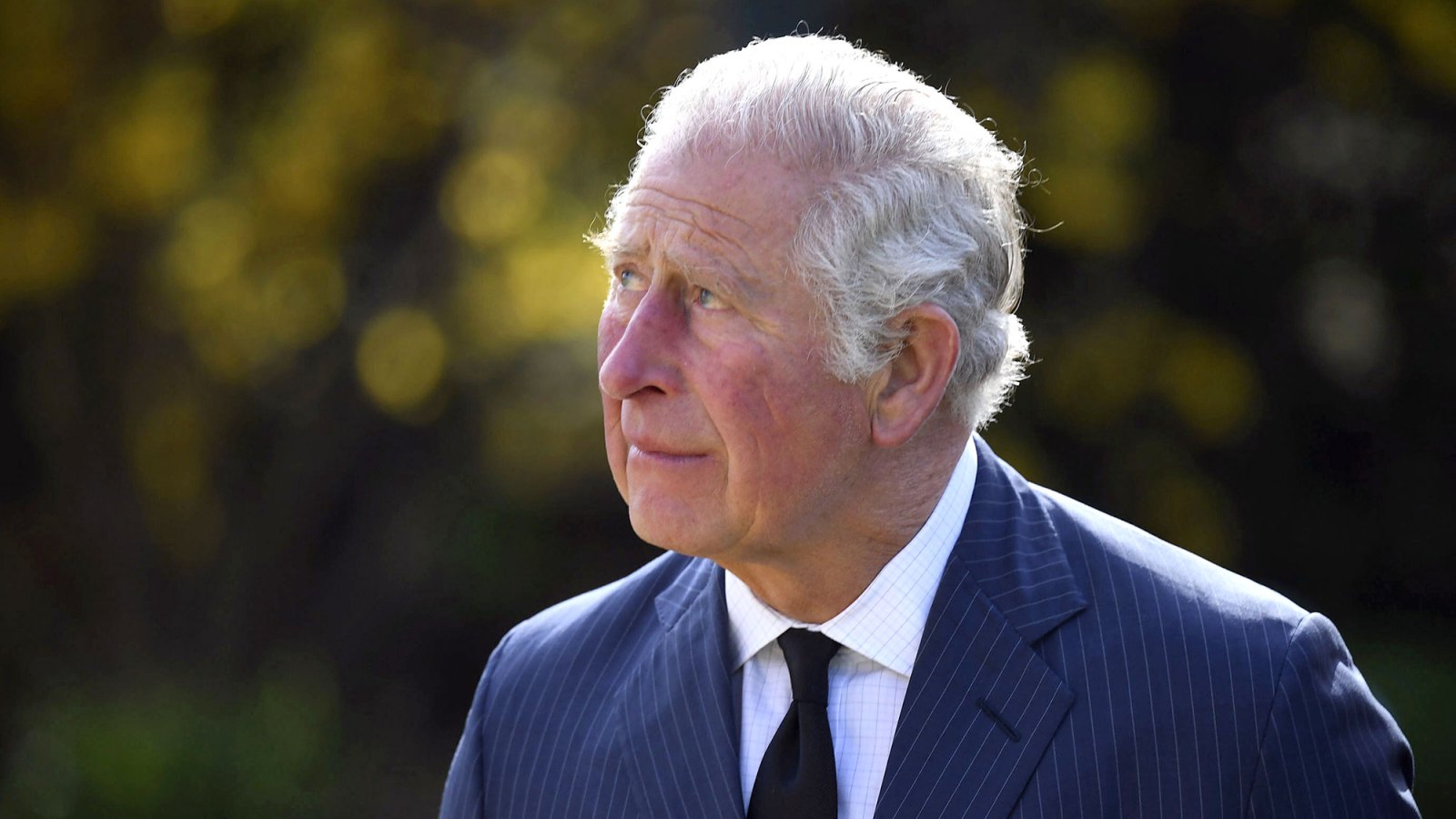 Prince Charles Tests Positive for COVID-19 for the 2nd Time