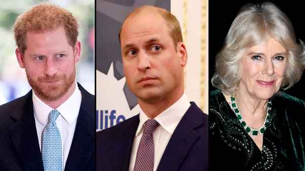 Prince Harry and Prince William 'Blindsided' by Camilla's Queen Consort Title