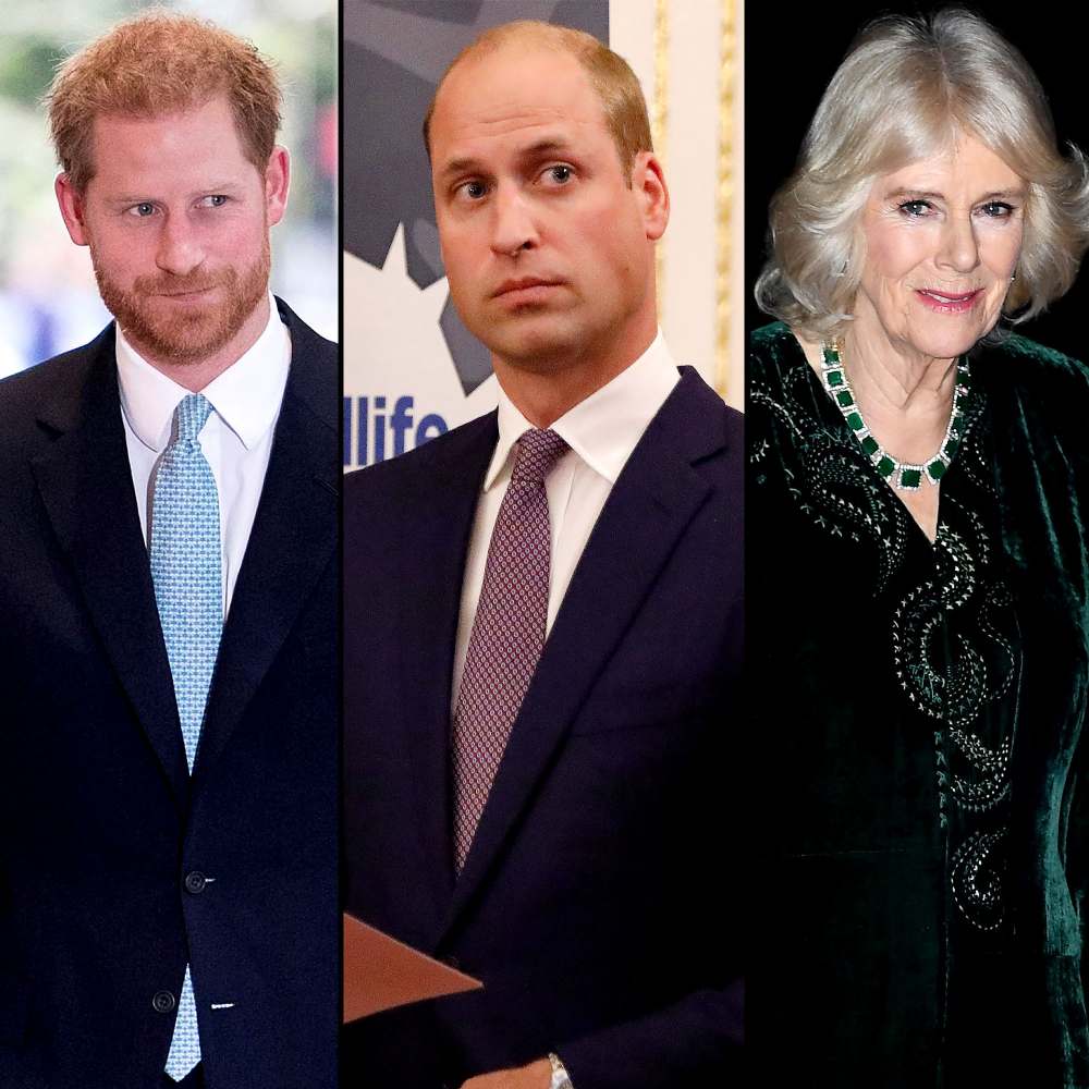 Prince Harry and Prince William 'Blindsided' by Camilla's Queen Consort Title