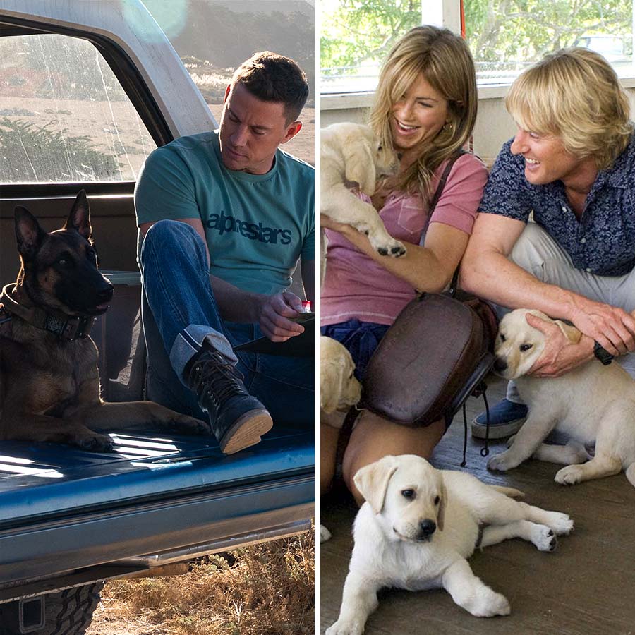 Best Pet-Themed Movies of All-Time: Photos