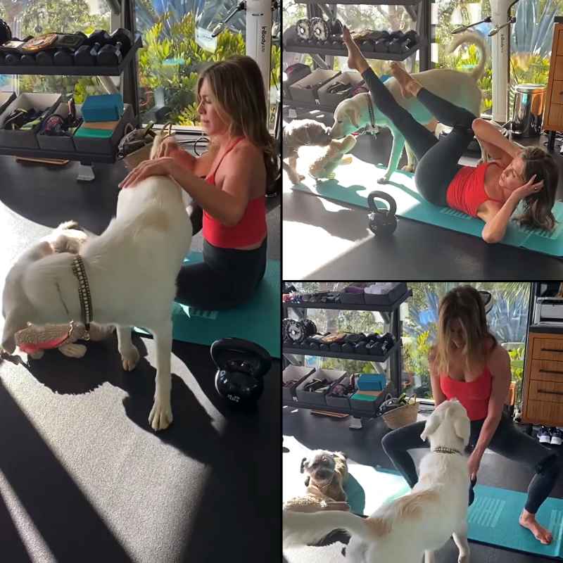 See Jennifer Aniston’s Dogs Interrupt Her Ab Workout