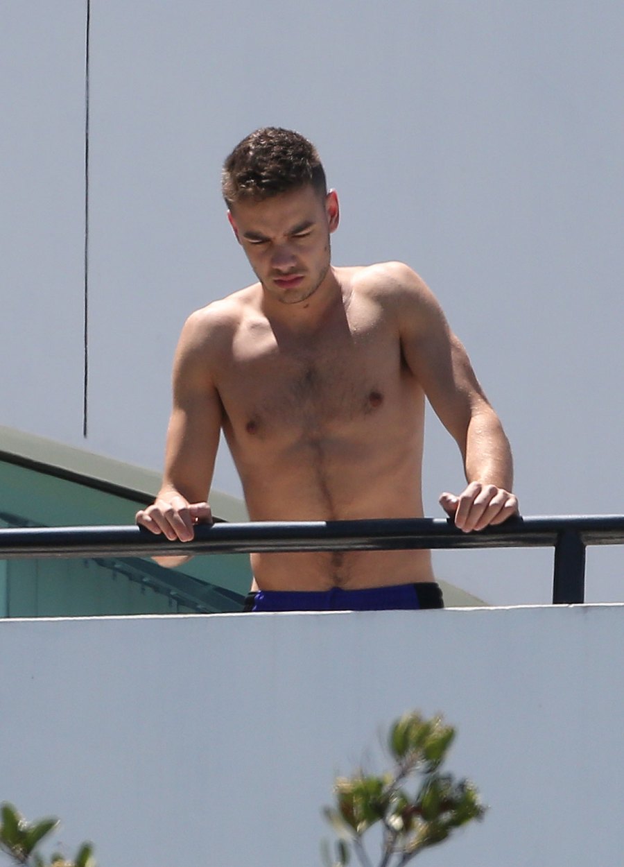 Shirtless Hunks: Hot Celebs and Their Insane Physiques Liam Payne