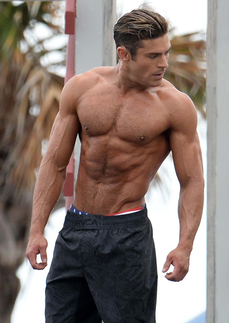Shirtless Hunks: Hot Celebs and Their Insane Physiques Zac Efron