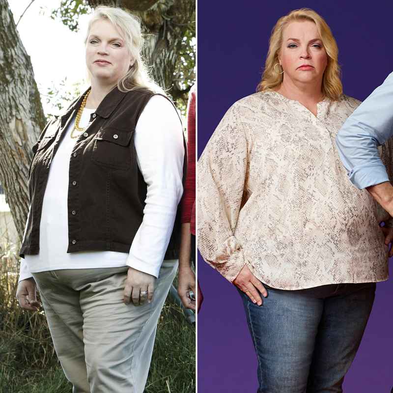 Sister Wives' Janelle Brown's Weight Loss Transformation Through the Years: Before and After Photos