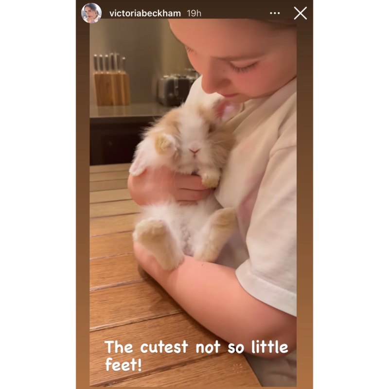 Adorable! Victoria Beckham’s Daughter Harper Cuddles Pet Bunny