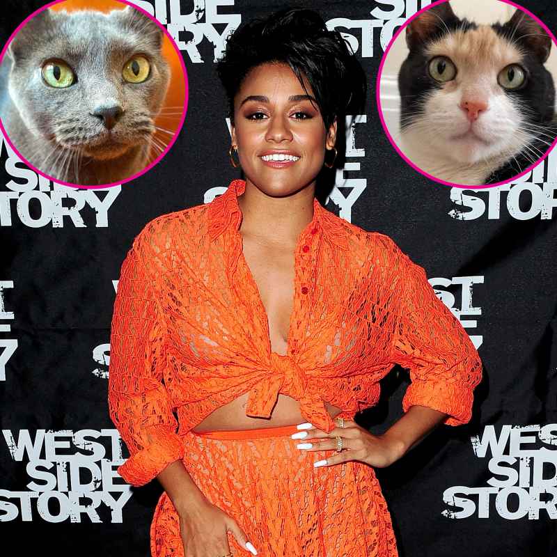 Who Is Ariana DeBose? 5 Things to Know About the ‘West Side Story’ Actress