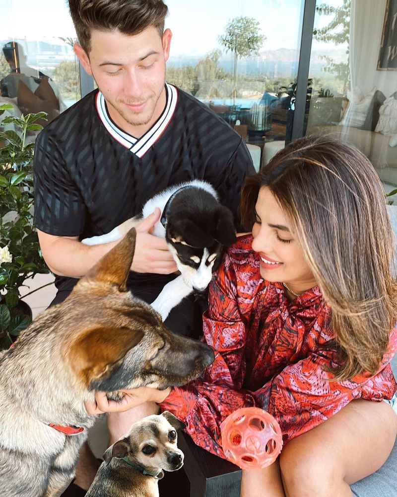 Celebrity Couples Who Adopted Pets Together