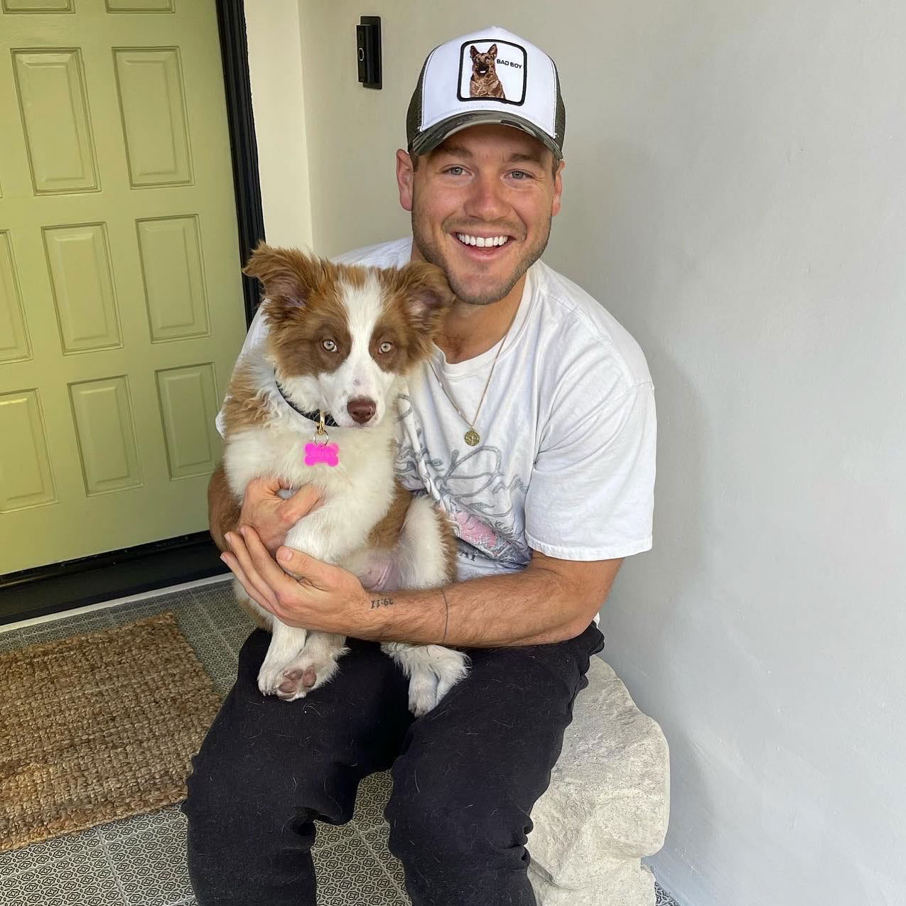The Social Media Lives of Celebrity Pets: Unveiling their Online Paw-trait!