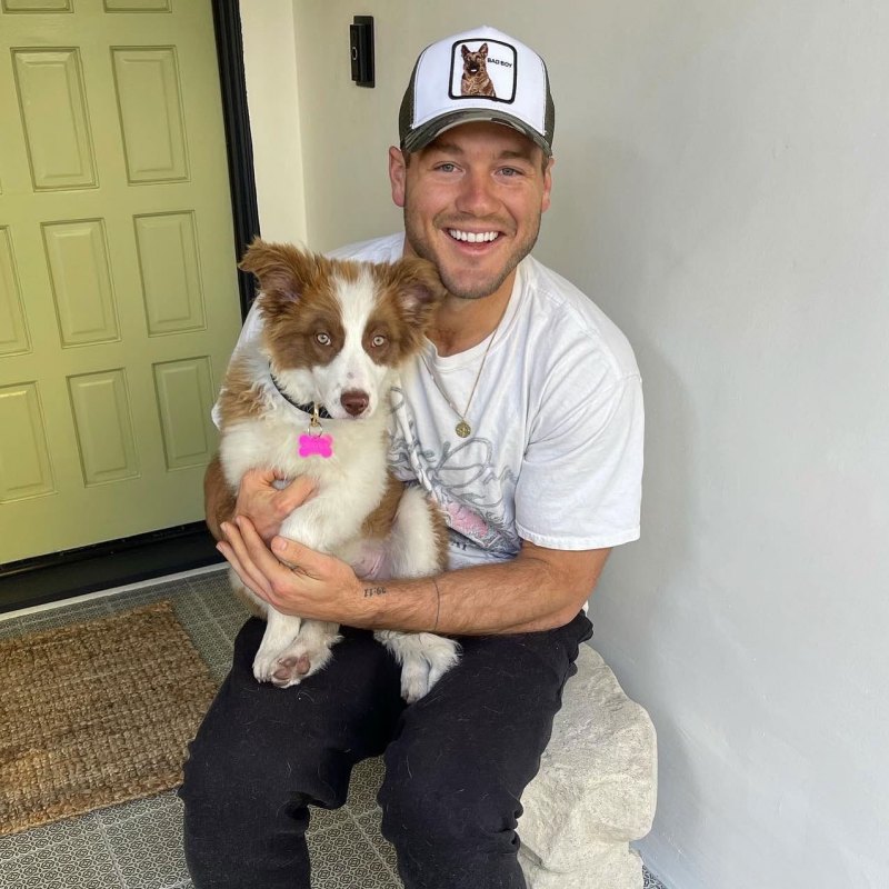 Colton Underwood Introduces New Dog Scout