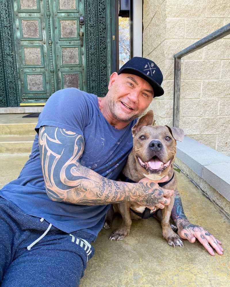 Dave Bautista Marvel Stars and Their Beloved Pets