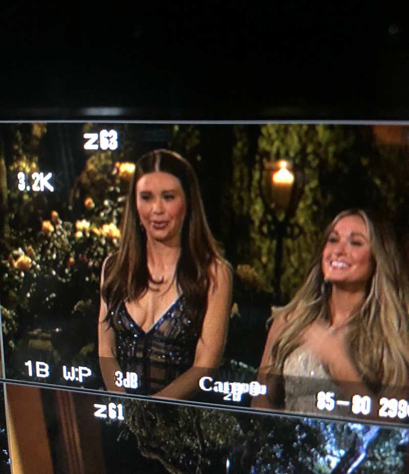 Gabby Windey and Rachel Recchia's 'Bachelorette' Season Begins Filming: 'The Journey Has Begun'