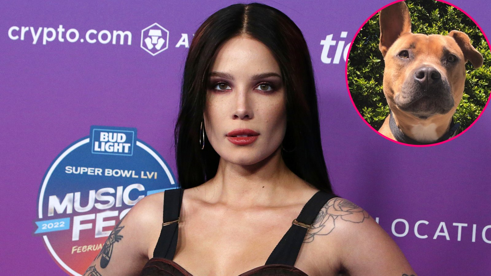 Halsey Mourns the Death of Beloved Dog Jagger: ‘This Has Been The Worst Week of My Life’