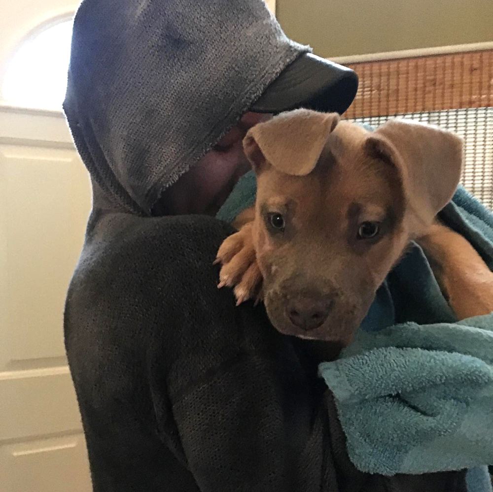 Halsey Mourns the Death of Beloved Dog Jagger: &lsquo;This Has Been The Worst Week of My Life&rsquo;