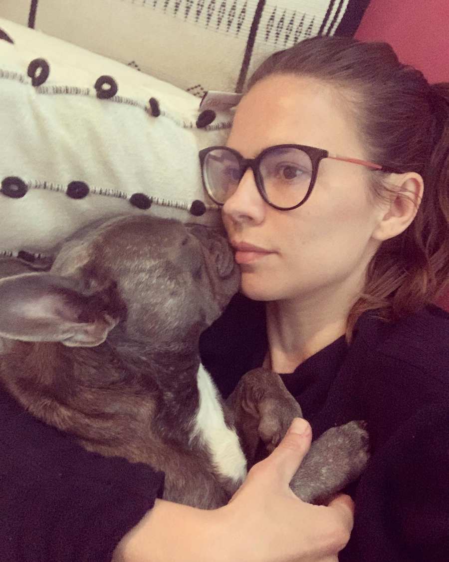 Hayley Atwell Marvel Stars and Their Beloved Pets
