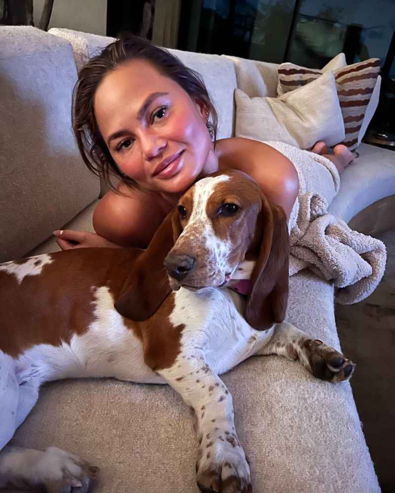 Home Is Where Their Dogs Are! John Legend, More Stars Gush Over Their Pets