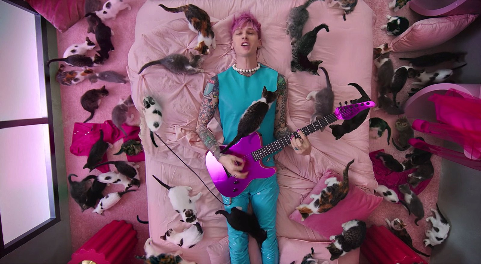 Machine Gun Kelly and More Celebs Who Are Obsessed With Cats