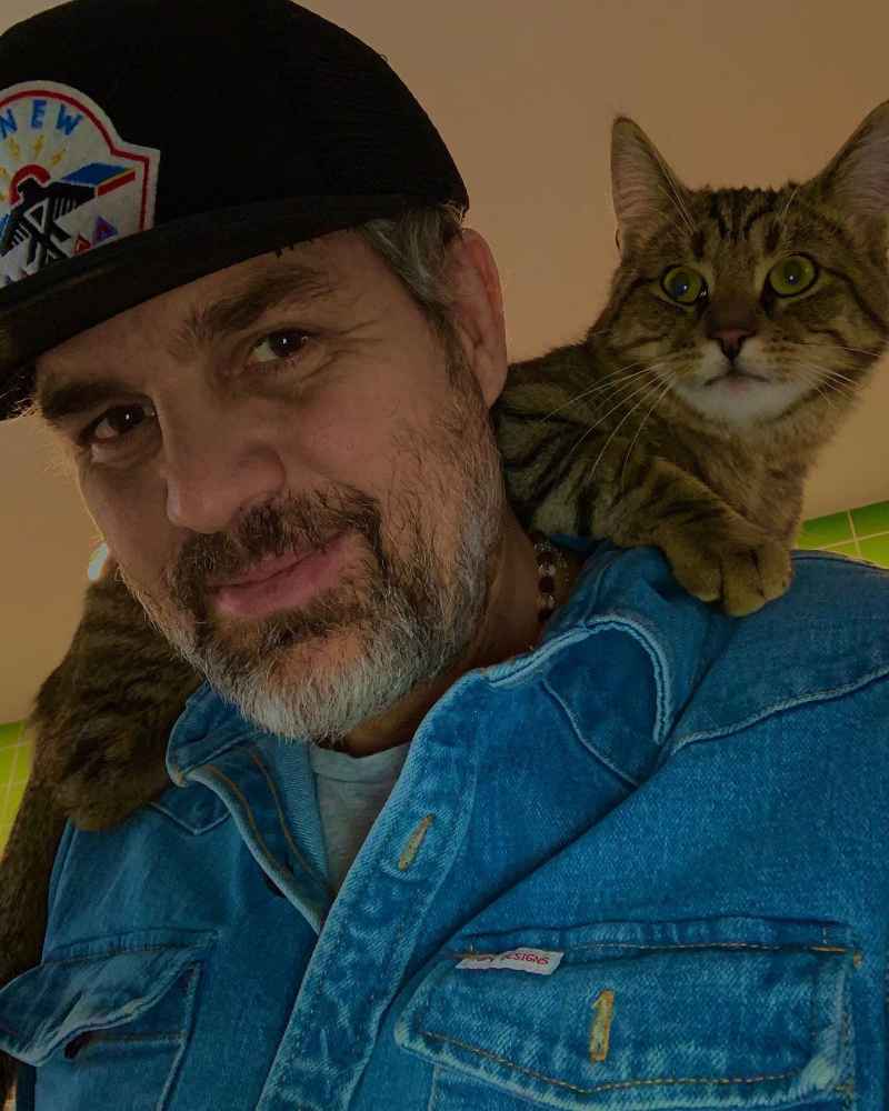 Mark Ruffalo Marvel Stars and Their Beloved Pets