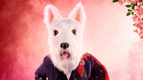 McTerrier Accidentally Unmasked During 'Masked Singer' Season 7 Premiere: What Happened?