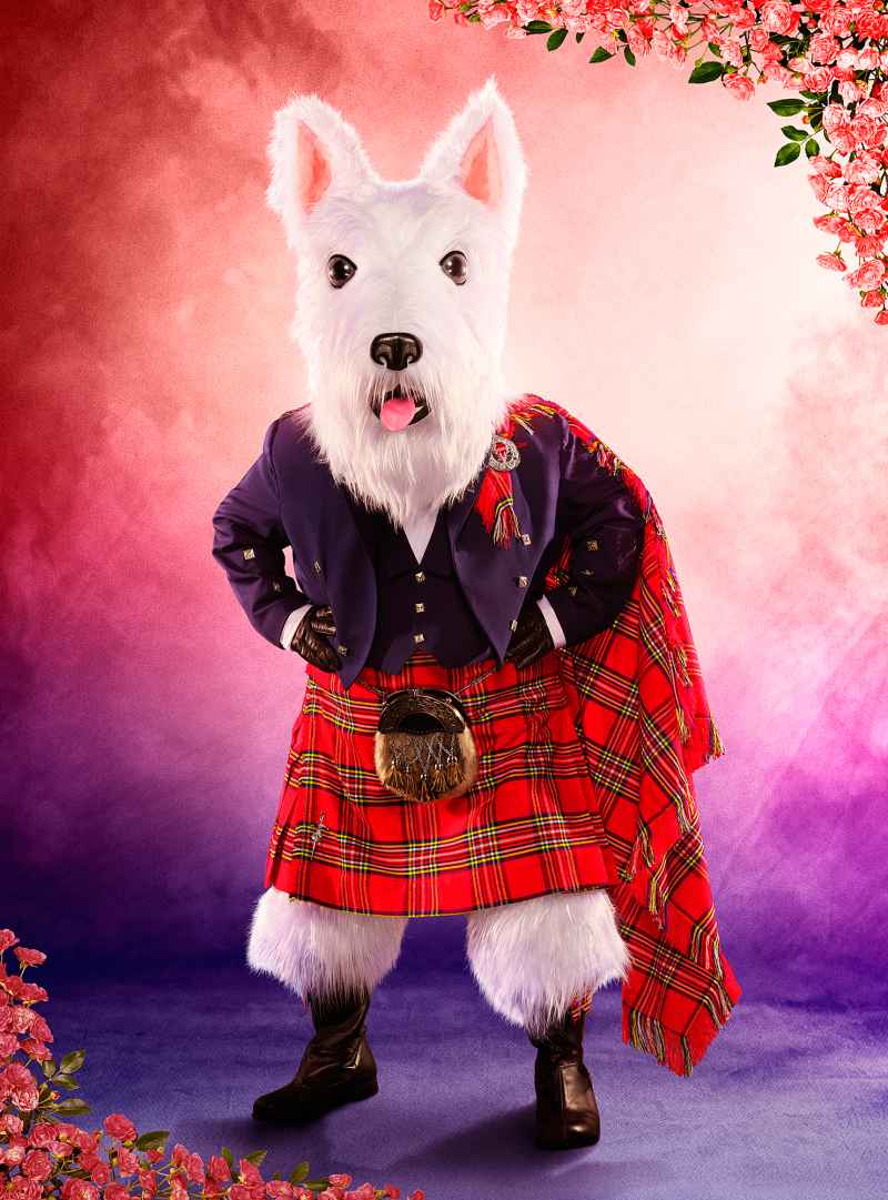 McTerrier The Masked Singer Returns for Season 7 Every Contestant Clue