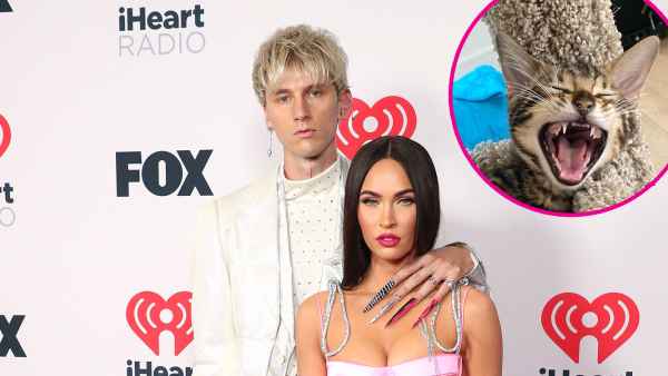 Megan Fox and Machine Gun Kelly Add a Kitten to Their Family 7