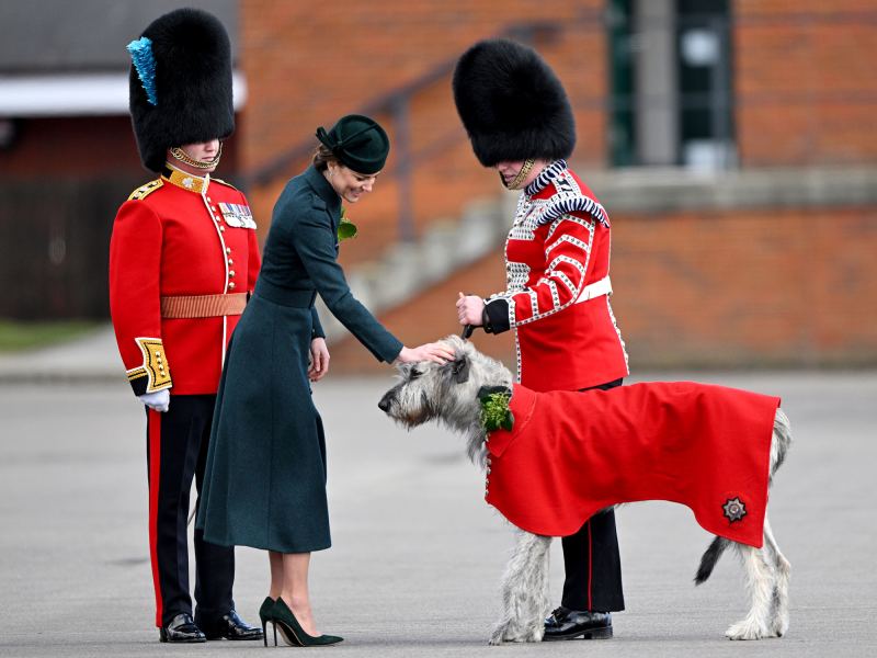 Prince William Duchess Kate st patricks day parade gall