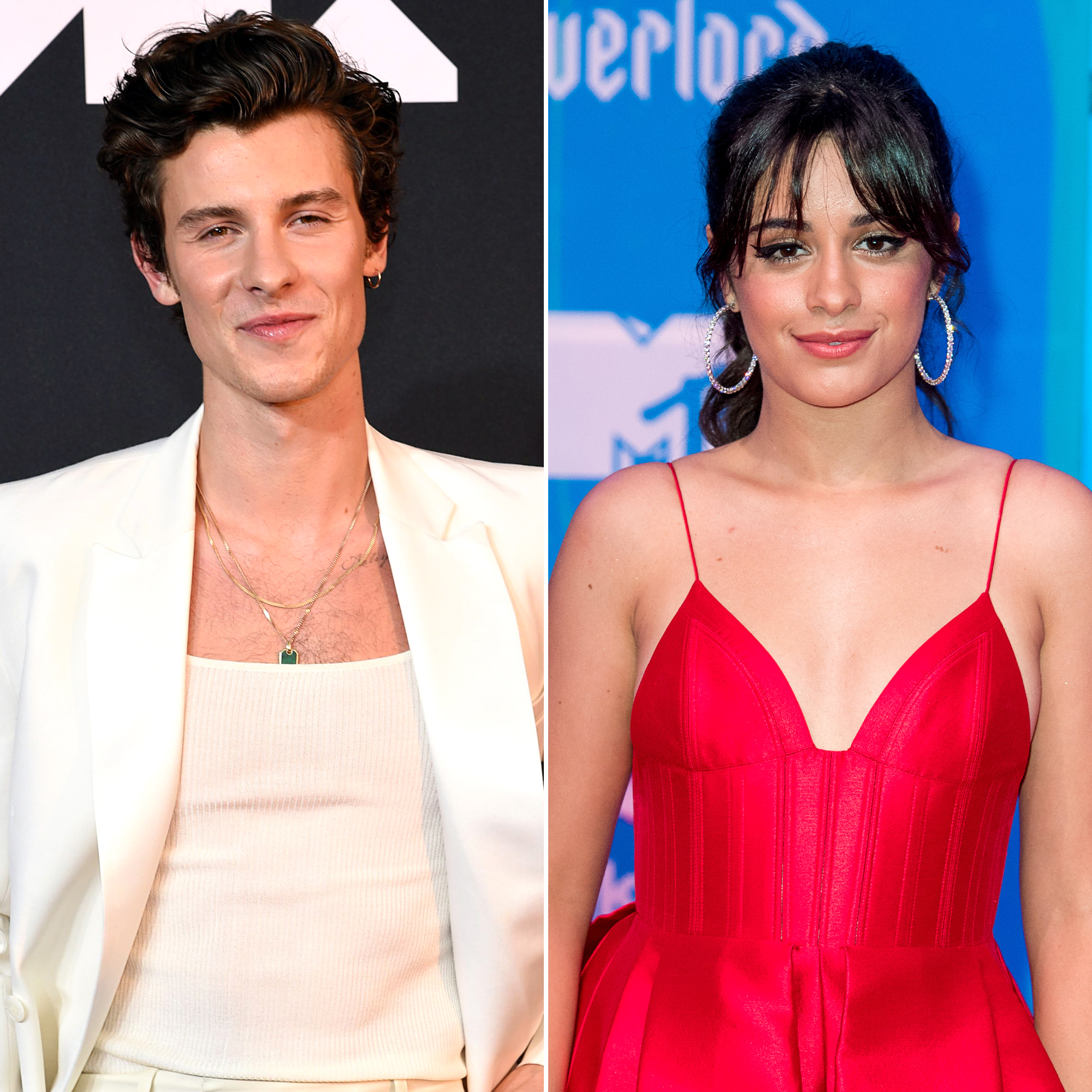 Shawn Mendes Adorably Cuddles With His Dog After Camila Cabello's Split Comments