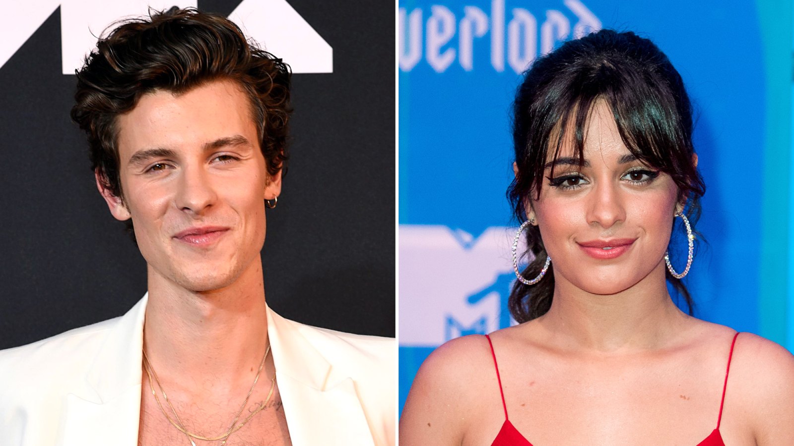 Shawn Mendes Cuddles With Puppy After Camila Cabello Split Comments ...