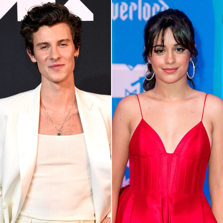 Shawn Mendes Adorably Cuddles With His Dog After Camila Cabello's Split Comments