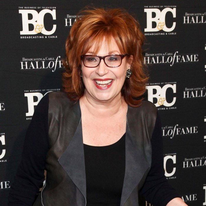 The Views Joy Behar Accidentally Fell Off Her Chair During Live Show