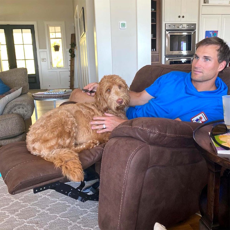 Touchdown A Complete Guide NFL Athletes Dogs