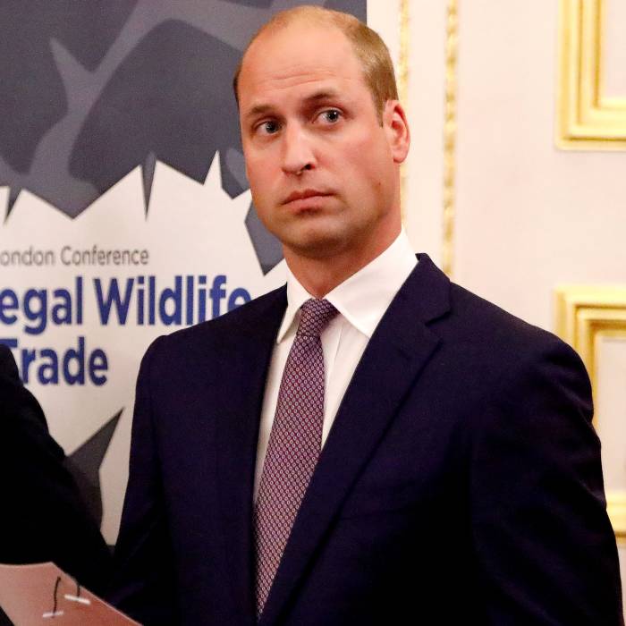 Why Prince William's Recent Comments About Ukraine Conflict Are Under Fire