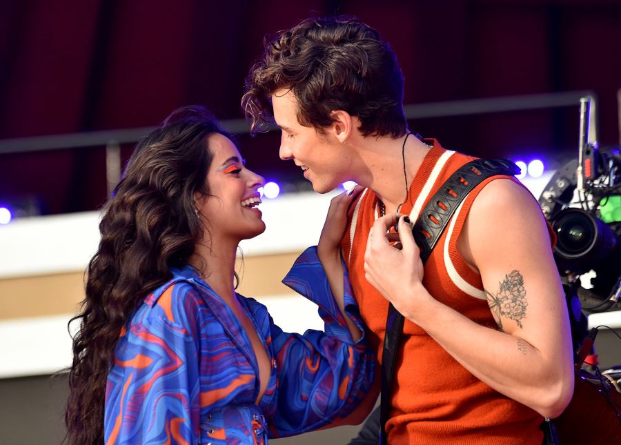 A Complete Breakdown of Camila Cabello's Possible References to Shawn Mendes on 'Familia'