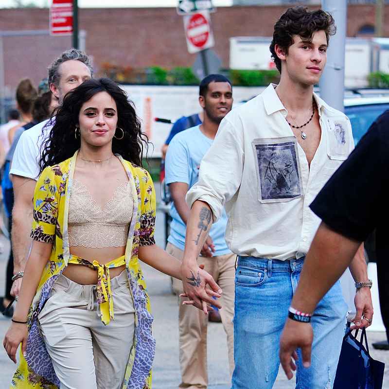 A Complete Breakdown of Camila Cabello's Possible References to Shawn Mendes on 'Familia'