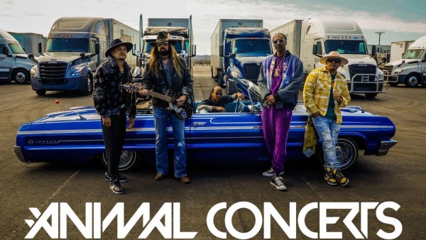 Animal Concerts
