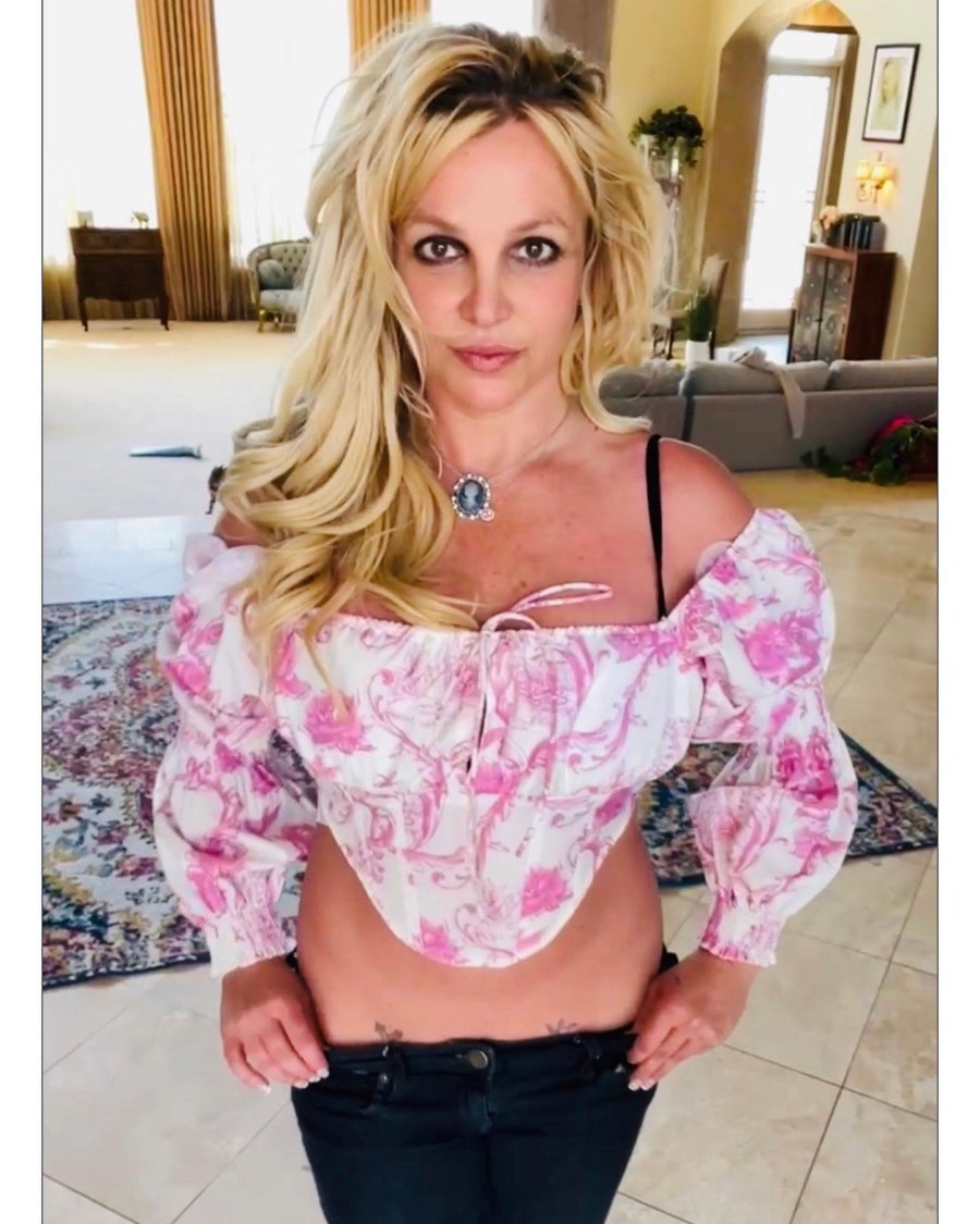 Britney Spears and Kevin Federline's Timeline From Divorce to Coparenting