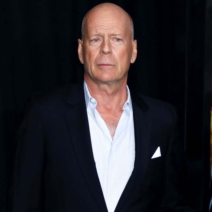 Bruce Willis Feels 'Blessed' to Have Blended Family Amid Aphasia Battle