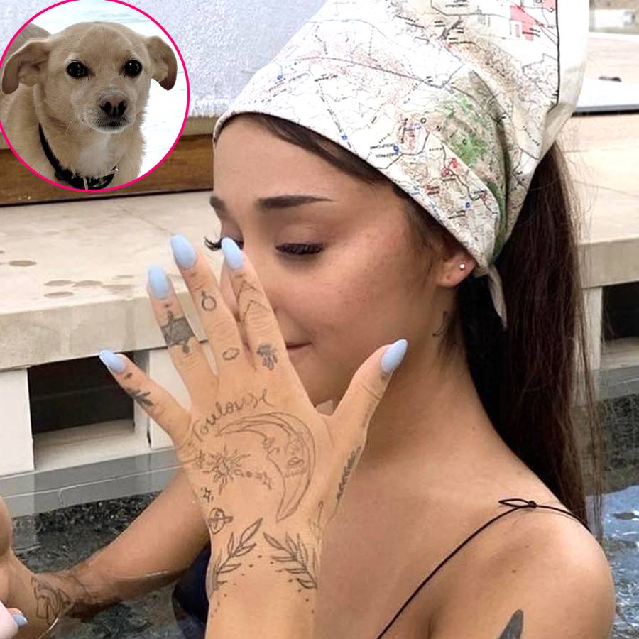 See the Celebs Who Got Tribute Tattoos in Honor of Their Beloved Pets