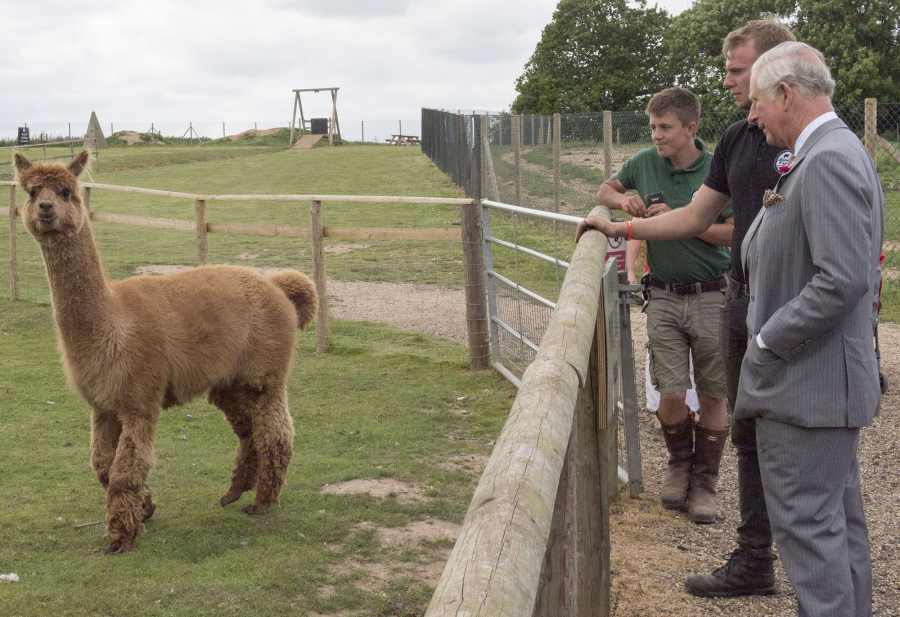 Four Legged Friends Cutest Photos Royals Meeting Animals Through Years Prince Charles