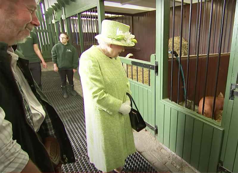 Four Legged Friends Cutest Photos Royals Meeting Animals Through Years Queen Elizabeth II