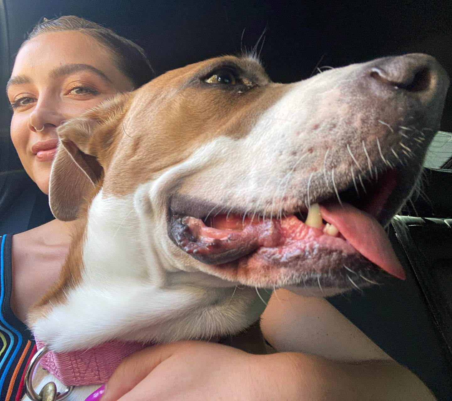 Hawkeye’s Florence Pugh and More Stars Gush Over Their Beloved Pets