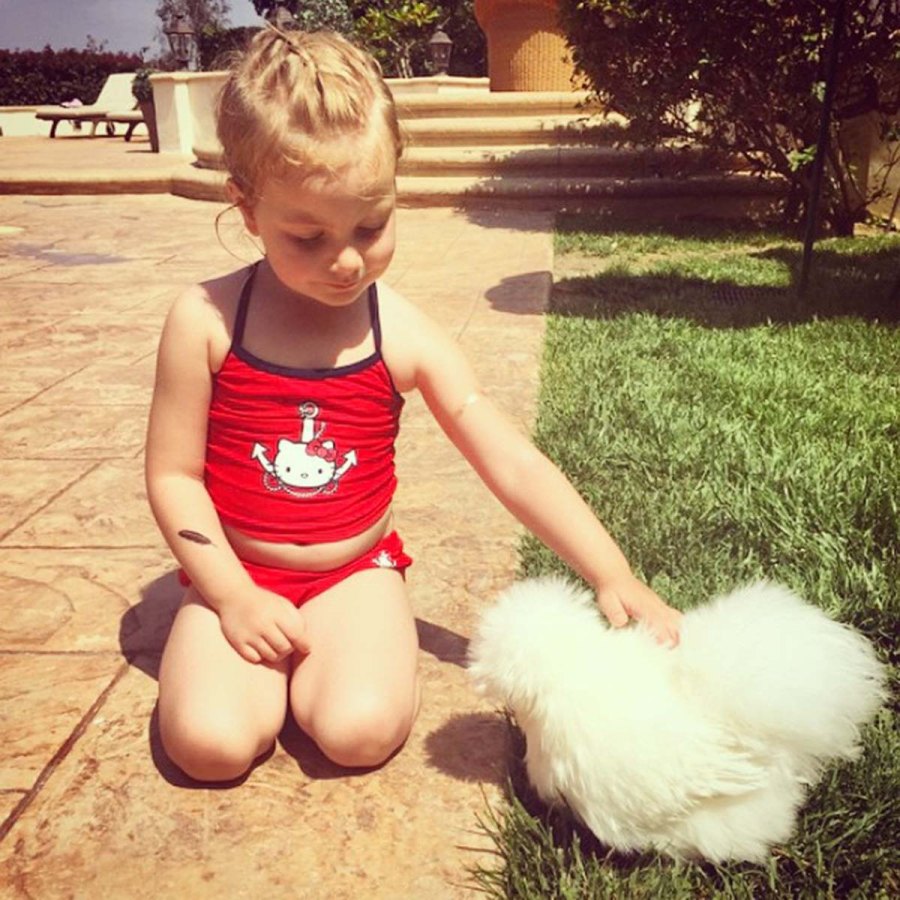 Is He Kim Tori Spellings Bearded Dragon Has Favorite Kardashian