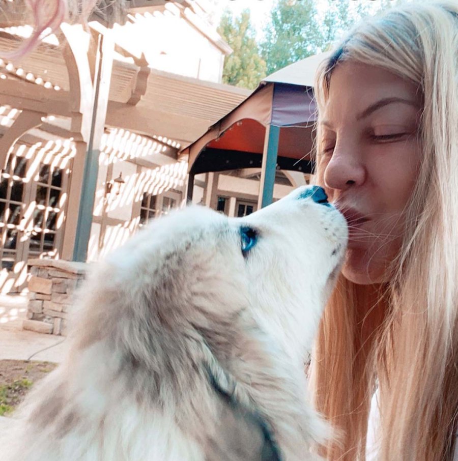 Is He Kim Tori Spellings Bearded Dragon Has Favorite Kardashian