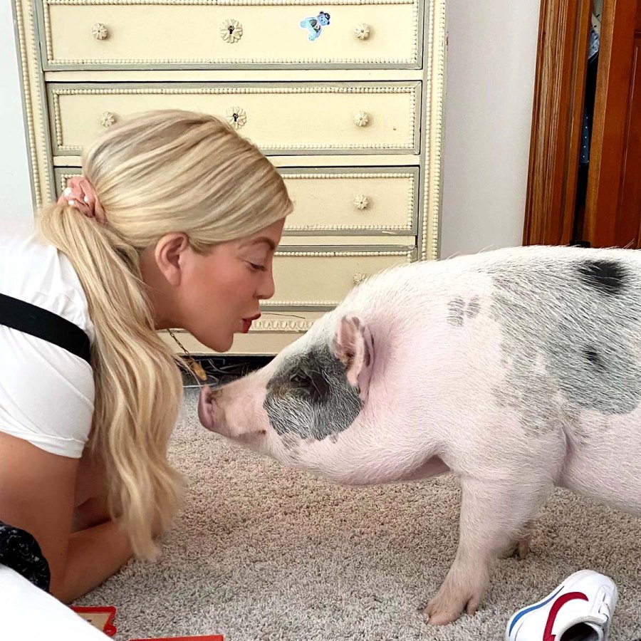 Is He Kim Tori Spellings Bearded Dragon Has Favorite Kardashian