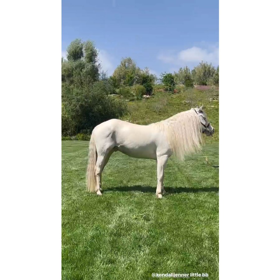 Kim Kardashian Instagram 6 Inside Khloe Kardashian and Tristan Thompson Daughter True Cat-Themed 4th Birthday Party