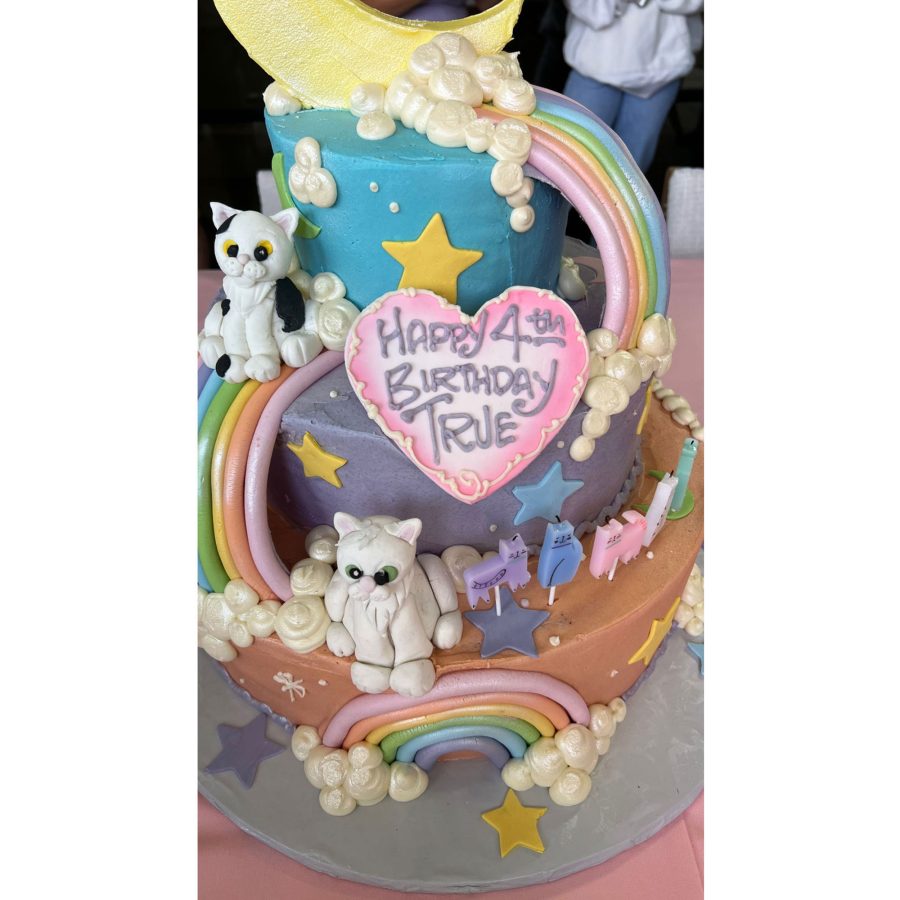 Kim Kardashian Instagram Inside Khloe Kardashian and Tristan Thompson Daughter True Cat-Themed 4th Birthday Party